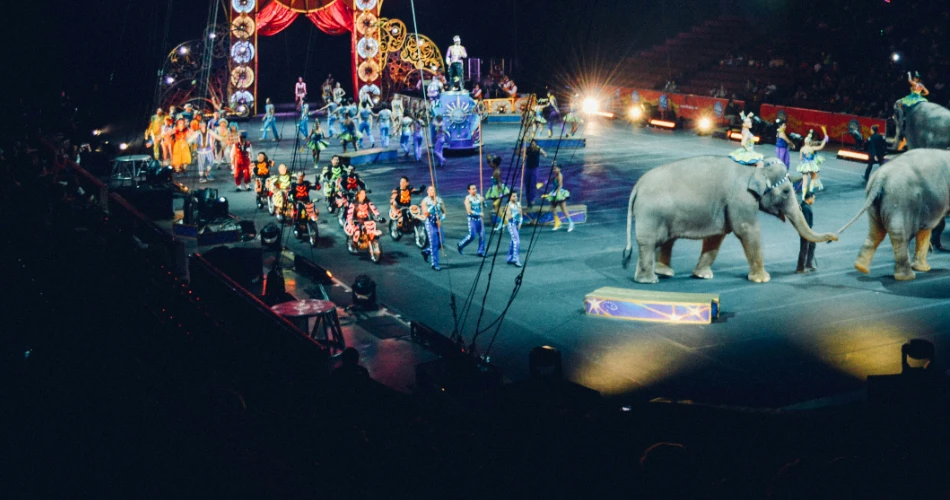 10 Best Shows in Las Vegas Right Now